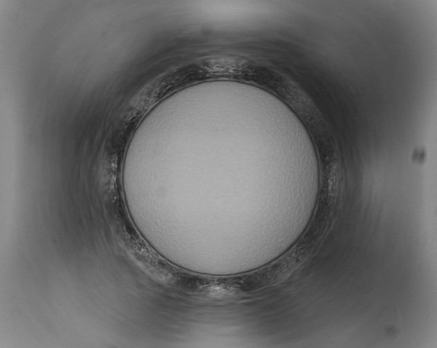 X0000114720737200911121732