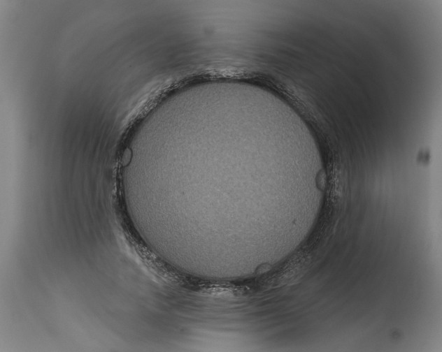 X0000114720738200911121732