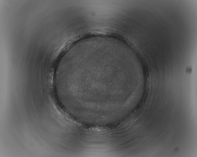 X0000114720739200911121732