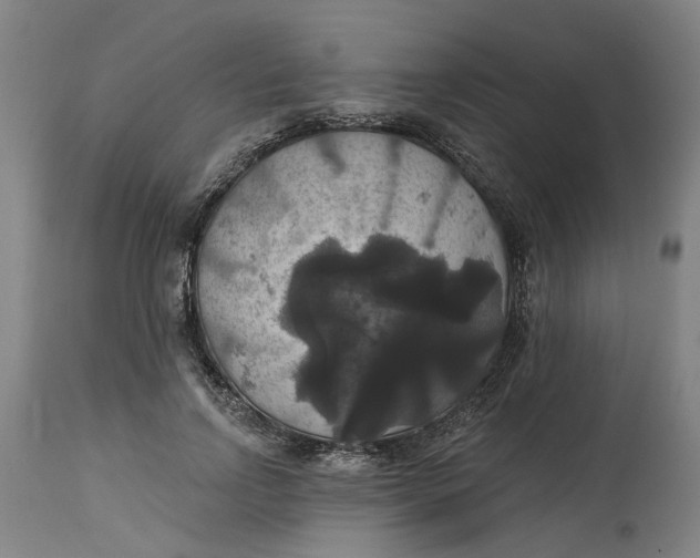 X0000114720742200911121732