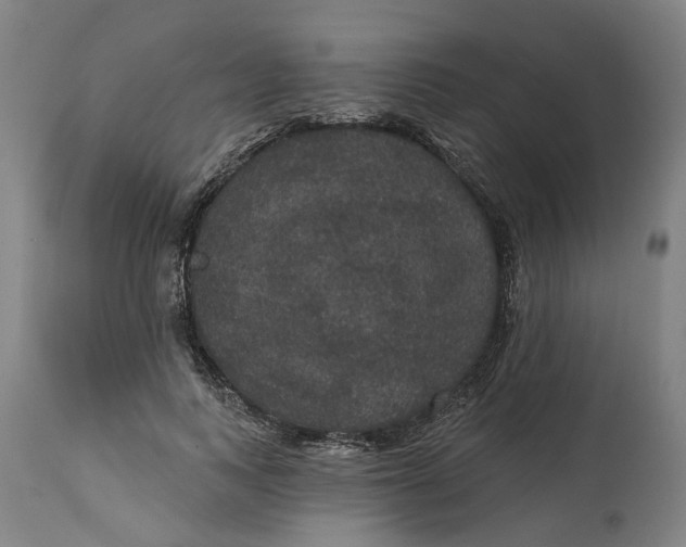 X0000114720743200911121732