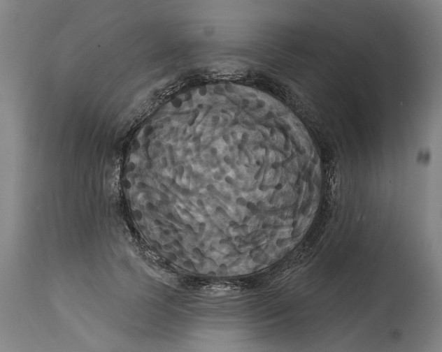 X0000114720745200911121732