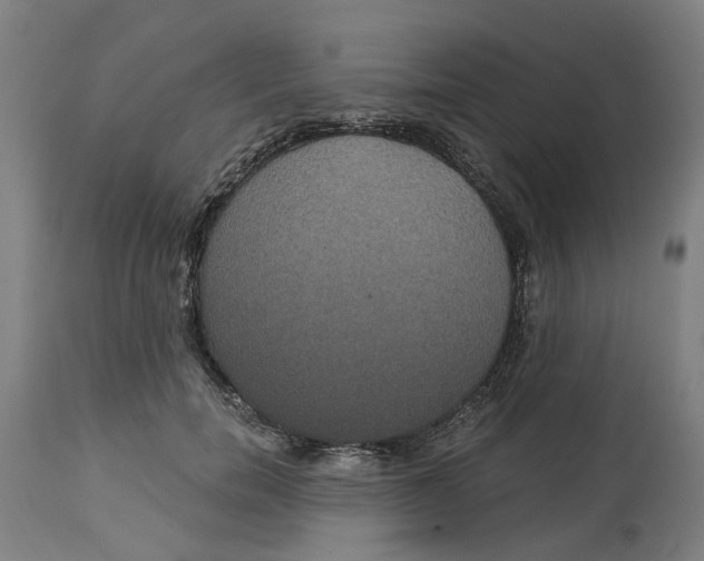 X0000114720750200911121732