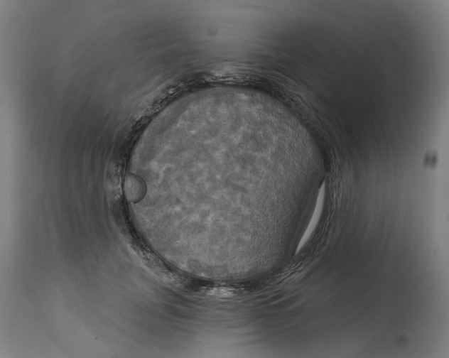 X0000114720751200911121732