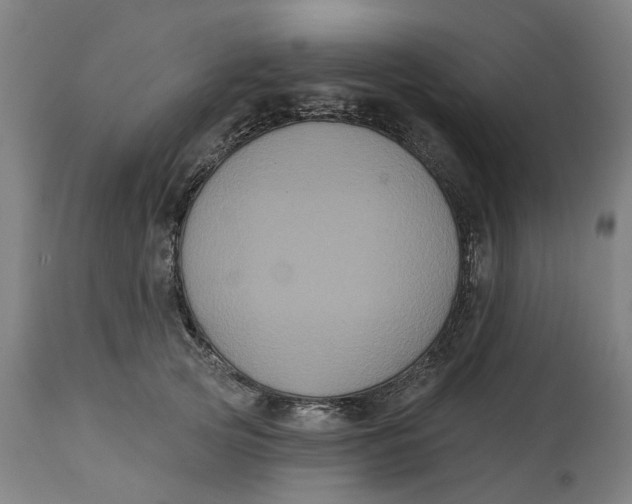 X0000114720753200911121732