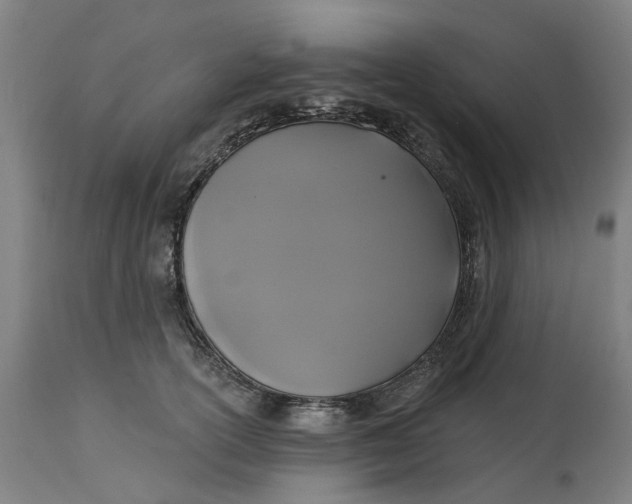 X0000114720754200911121732