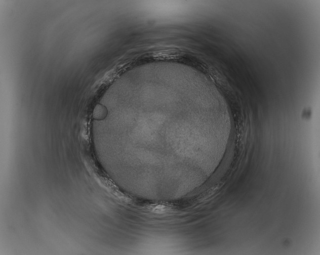 X0000114720755200911121732