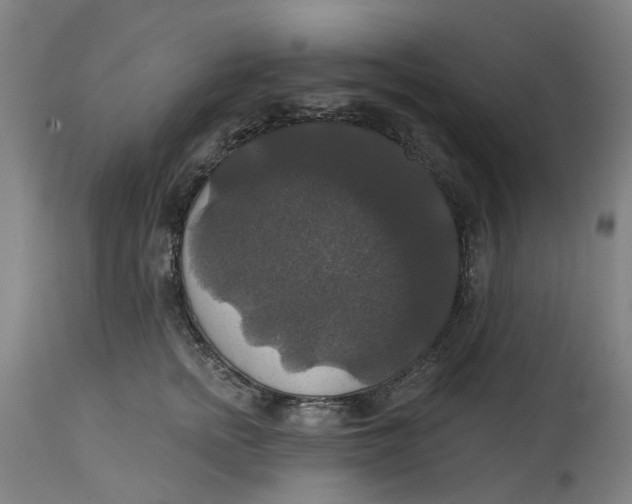 X0000114720758200911121732