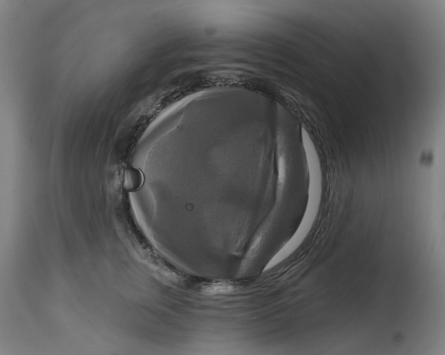 X0000114720759200911121732