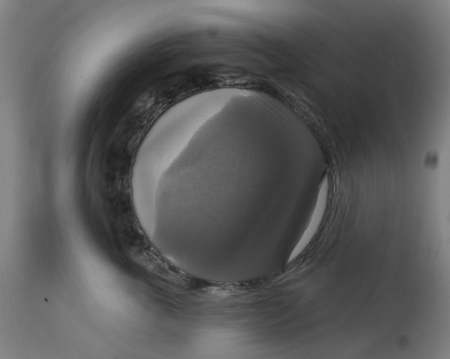 X0000114720763200911121732