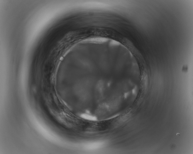 X0000114720765200911121732