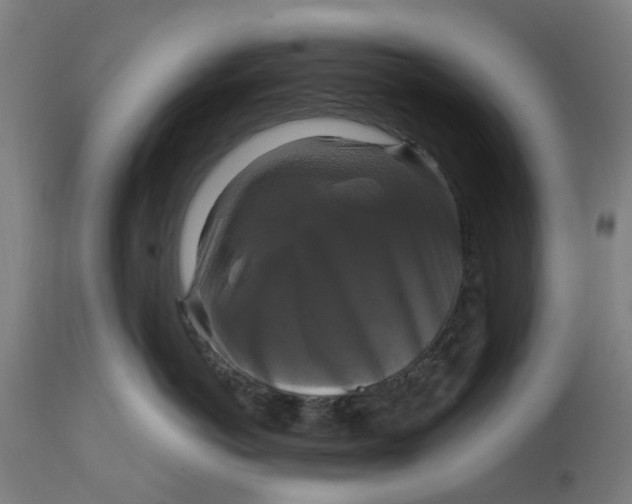 X0000114720766200911121732