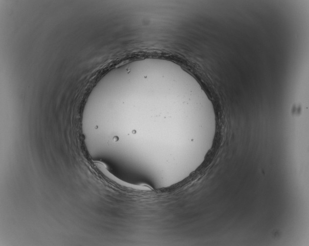 X0000114720769200911121732