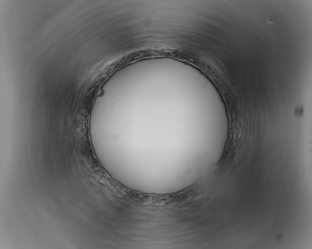 X0000114720773200911121732