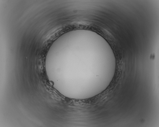 X0000114720774200911121732