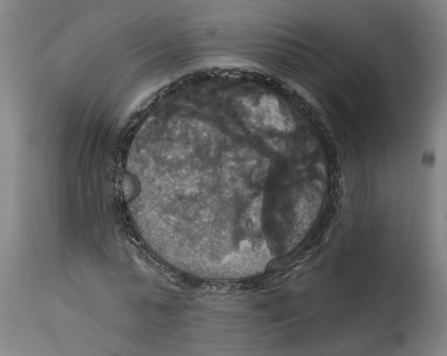 X0000114720775200911121732