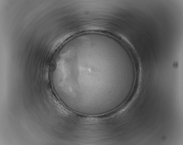 X0000114720777200911121732