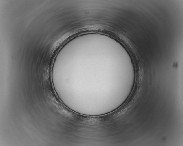 X0000114720778200911121732