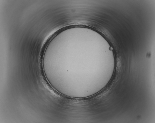 X0000114720780200911121732