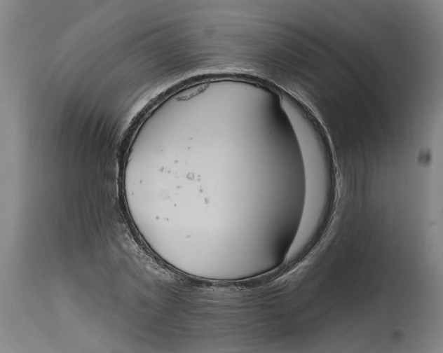 X0000114720781200911121732