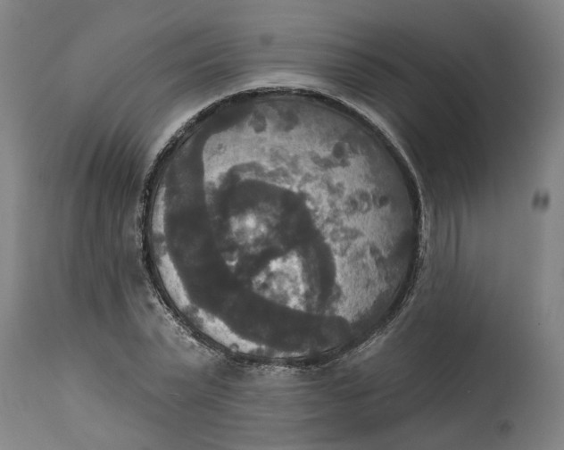 X0000114720783200911121732