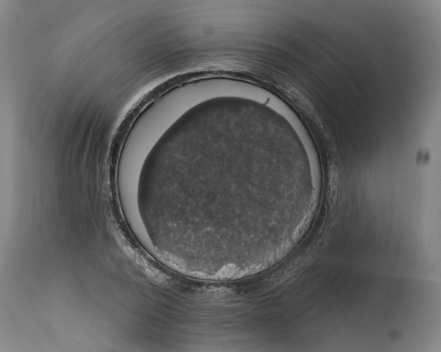 X0000114720784200911121732