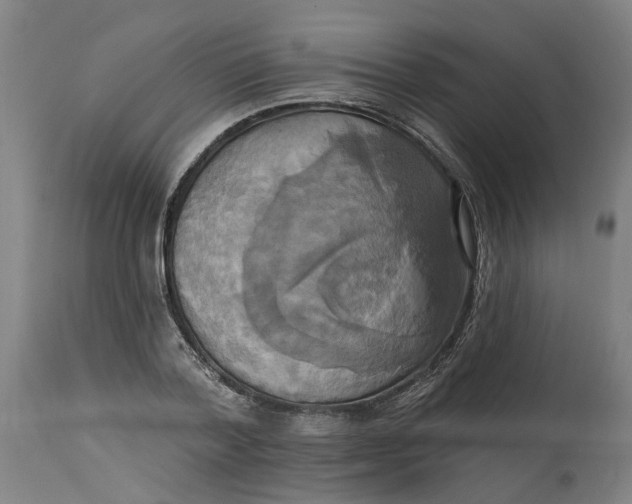 X0000114720788200911121732