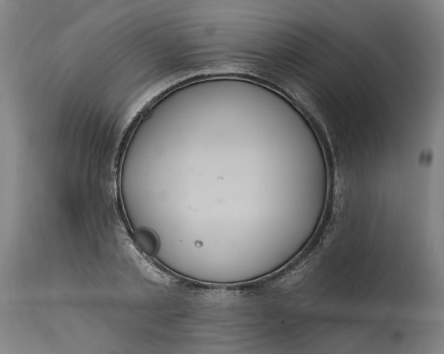 X0000114720789200911121731