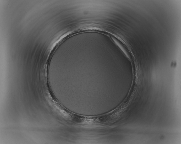 X0000114720790200911121731