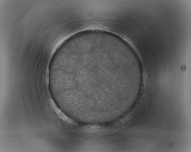 X0000114720791200911121731