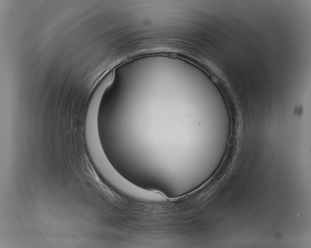 X0000114720793200911121731