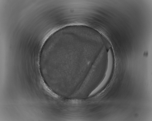 X0000114720797200911121731