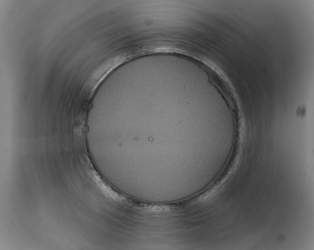 X0000114720801200911121731