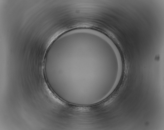 X0000114720802200911121731