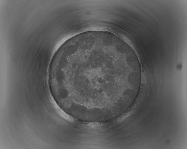 X0000114720803200911121731