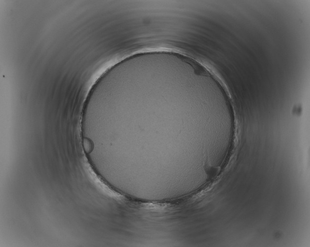 X0000114720805200911121731