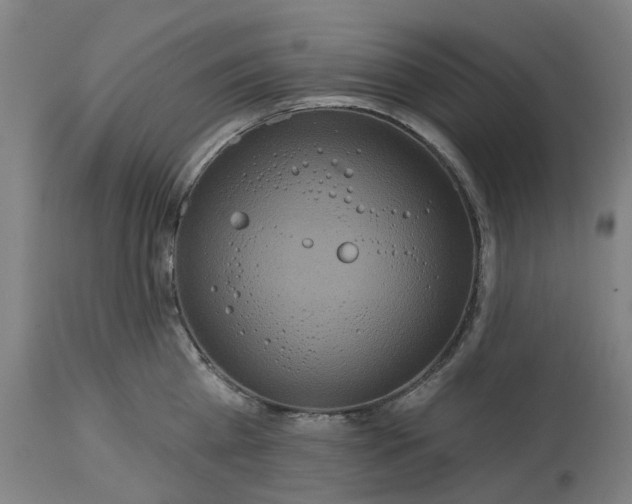 X0000114720809200911121731