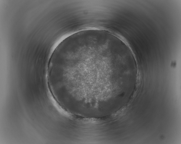 X0000114720811200911121731