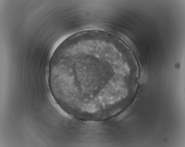 X0000114720812200911121731