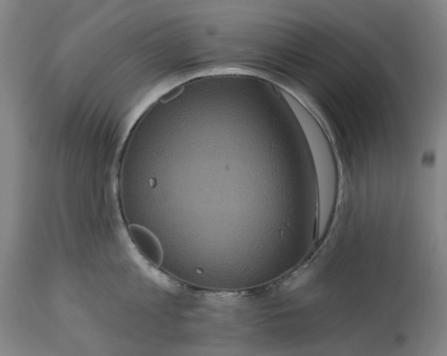 X0000114720813200911121731