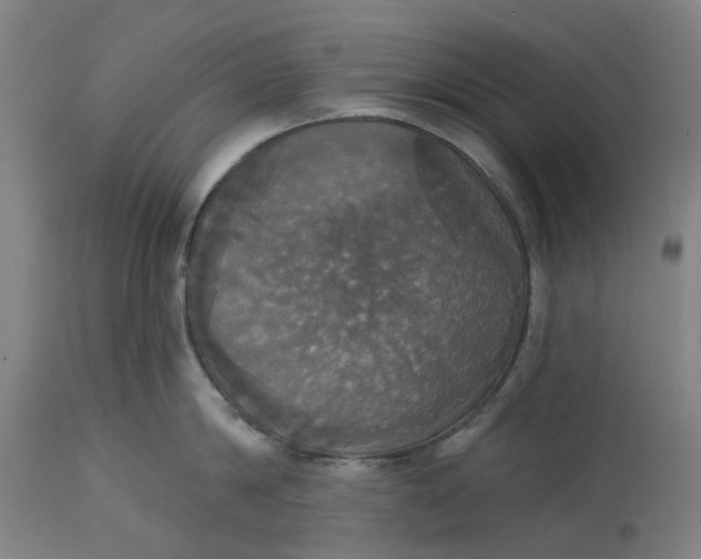 X0000114720814200911121731