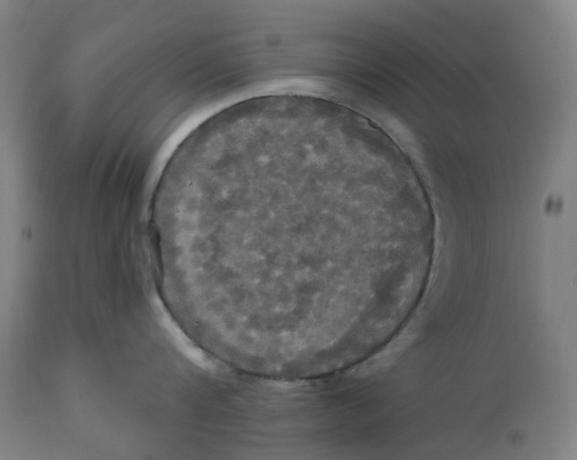 X0000114720816200911121731