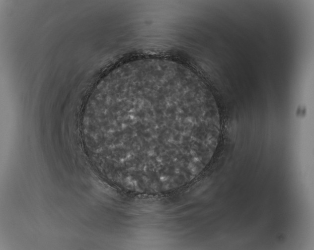 X0000114720817200911121730