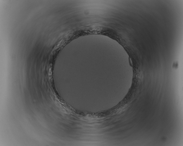 X0000114720818200911121730