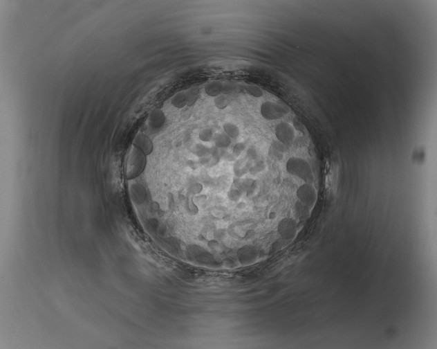 X0000114720819200911121730