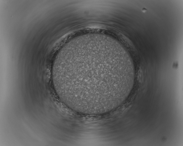 X0000114720821200911121731