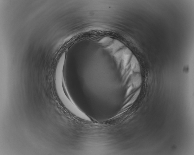 X0000114720822200911121731