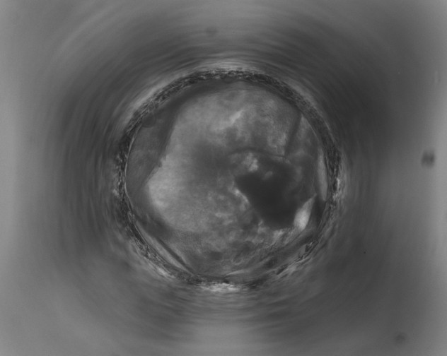 X0000114720823200911121731