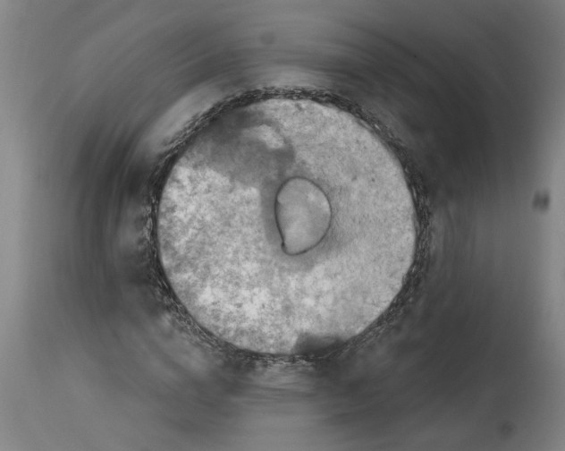 X0000114720824200911121731