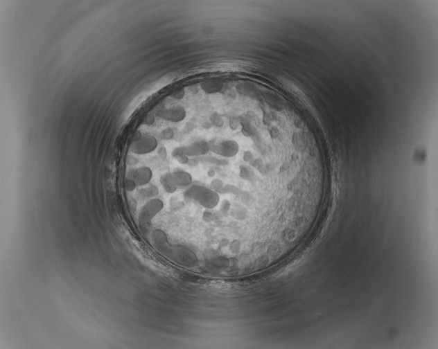 X0000114720827200911121731